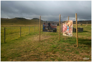 Aubrac Septembre 2023 expo - vagabondphotos.ch