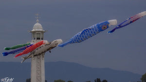 Genève et canton - vagabondphotos.ch