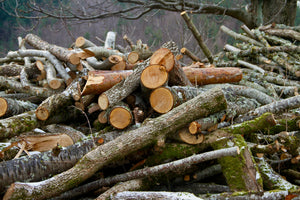 Photos de bois divers - vagabondphotos.ch