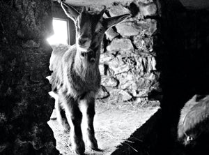 que du noir et blanc divers - vagabondphotos.ch