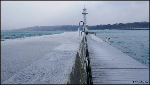 Fèvrier 2017 Genève. le lac gelé