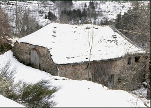 hivers les plus divers