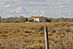 01 Camargue France - vagabondphotos.ch