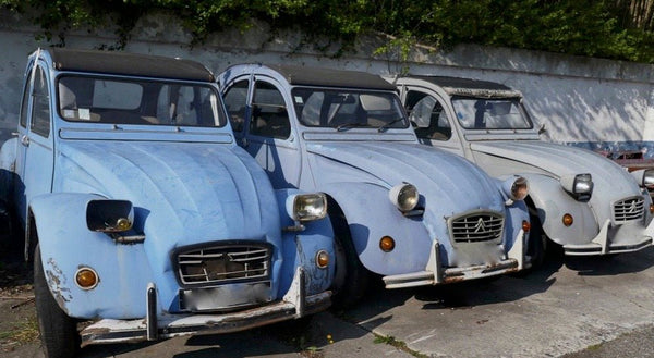 05 Citroëns 2 CV - vagabondphotos.ch