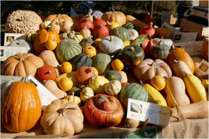 13. légumes - vagabondphotos.ch