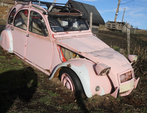 21. La Citroën 2 CV - vagabondphotos.ch