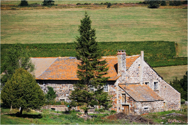 27. Ferme - vagabondphotos.ch