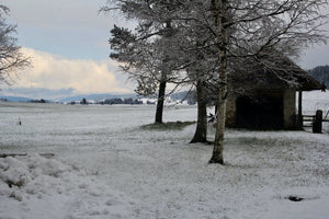 29. givre - vagabondphotos.ch