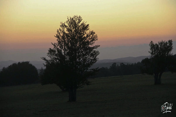 3. Levé de soleil - vagabondphotos.ch