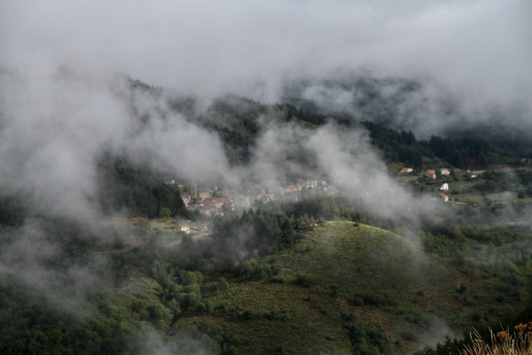 38. brume - vagabondphotos.ch