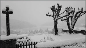 arbre croix - vagabondphotos.ch