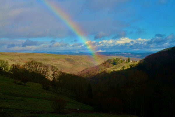 Arc en ciel - vagabondphotos.ch