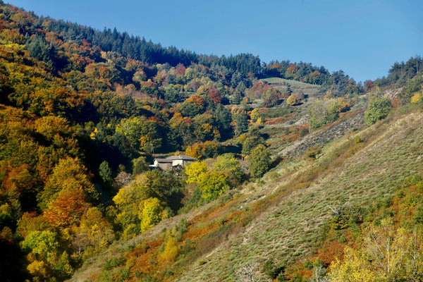 Ardèche - vagabondphotos.ch