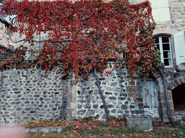 Ardèche automne - vagabondphotos.ch