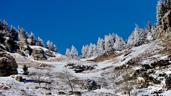 Ardèche n - vagabondphotos.ch