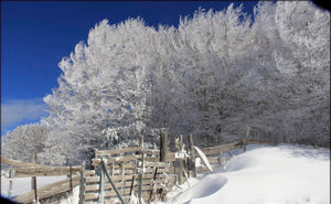 ardèche07 - vagabondphotos.ch