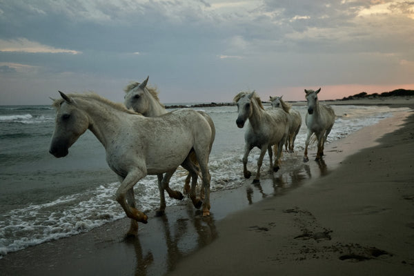 au bord de la plage - vagabondphotos.ch