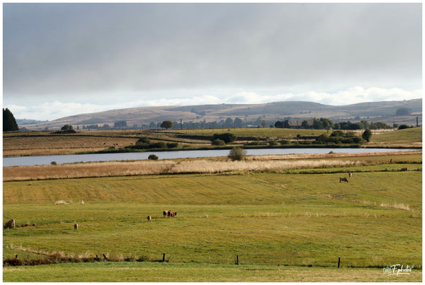 Aubrac Septembre 2023 expo - vagabondphotos.ch