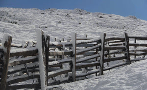 Barrières sous la neige - vagabondphotos.ch