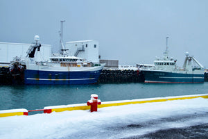 Bateaux - vagabondphotos.ch