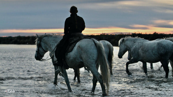 camargue - vagabondphotos.ch