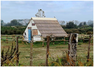 Camargue décembre 2023 - vagabondphotos.ch