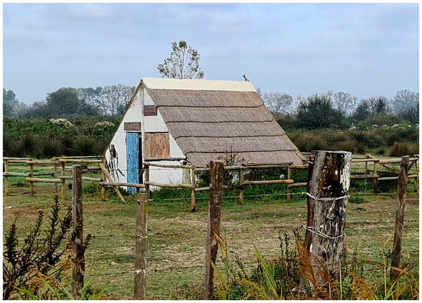 Camargue décembre 2023 - vagabondphotos.ch