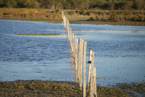 Camargue France - vagabondphotos.ch