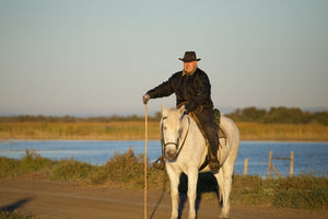 Camargue France - vagabondphotos.ch