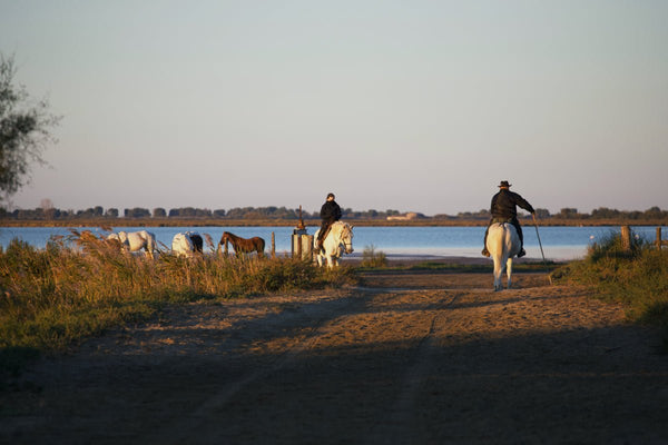 Camargue France - vagabondphotos.ch