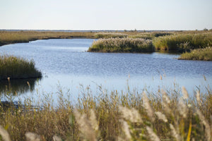 Camargue France - vagabondphotos.ch