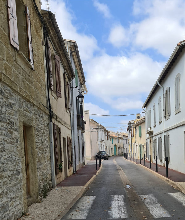 Camargue Saint-Laurent-d'AigouzeJ - vagabondphotos.ch