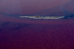 Camargue survol delta du Rhône format carte postale - vagabondphotos.ch