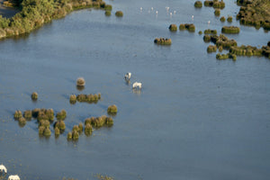 Camargue survol delta du Rhône format carte postale - vagabondphotos.ch