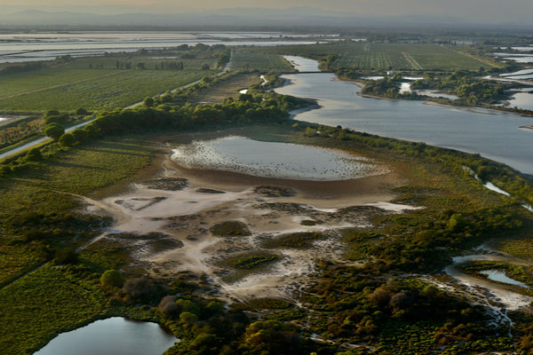 Camargue survol delta du Rhône format carte postale - vagabondphotos.ch