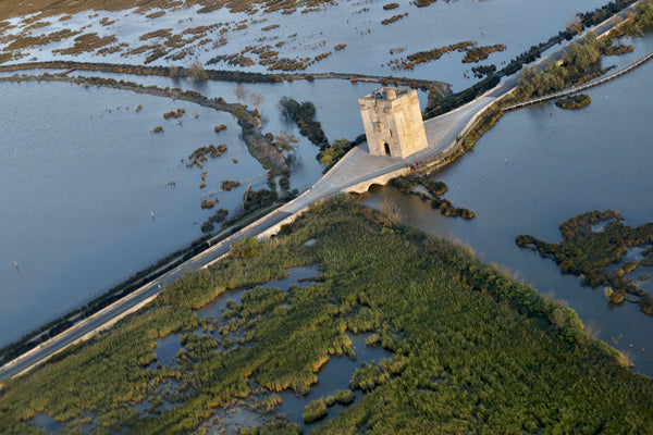 Camargue survol delta du Rhône format carte postale - vagabondphotos.ch