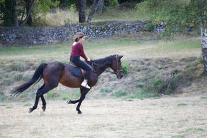 Cavalières 10 images - vagabondphotos.ch