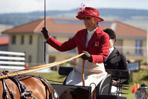 chevaux attelages - vagabondphotos.ch