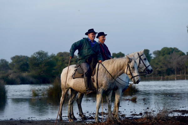 chevaux Camargue - vagabondphotos.ch