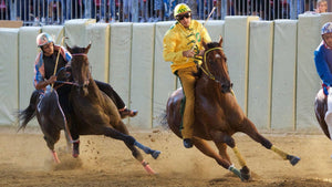 Chevaux. Palio - vagabondphotos.ch