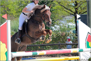 chevaux saut d obscale - vagabondphotos.ch