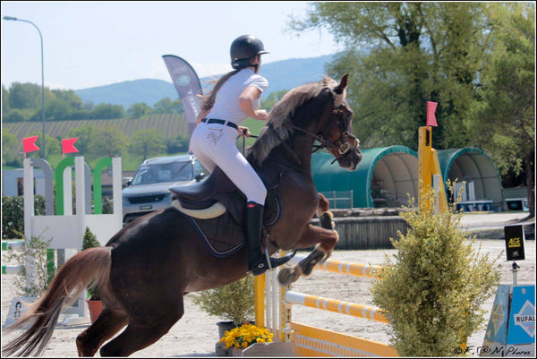 chevaux saut d obstacle - vagabondphotos.ch