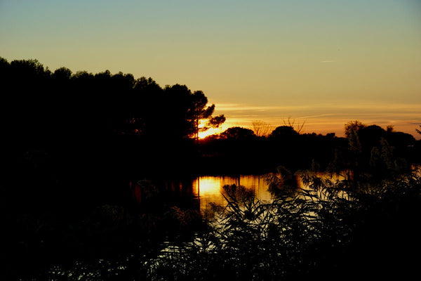 couché de soleil - vagabondphotos.ch