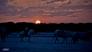 couché de soleil - vagabondphotos.ch