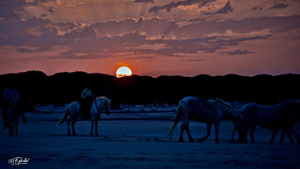 couché de soleil - vagabondphotos.ch