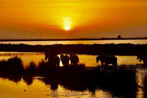 Couché de soleil - vagabondphotos.ch