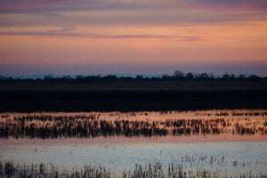 couché de soleil - vagabondphotos.ch