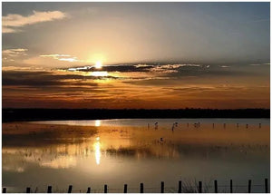 Couché de soleil camargue - vagabondphotos.ch