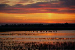 couché de soleil rouge - vagabondphotos.ch