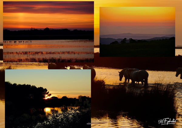 couché levé de soleil - vagabondphotos.ch